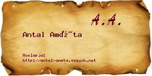 Antal Amáta névjegykártya